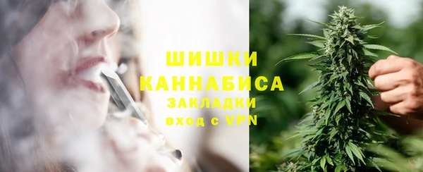 трава Аркадак