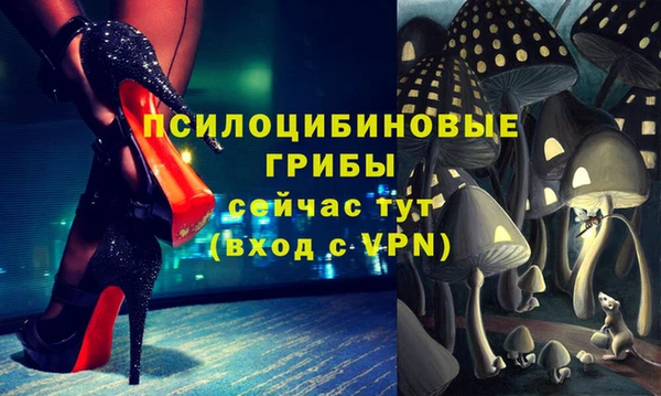 трава Аркадак
